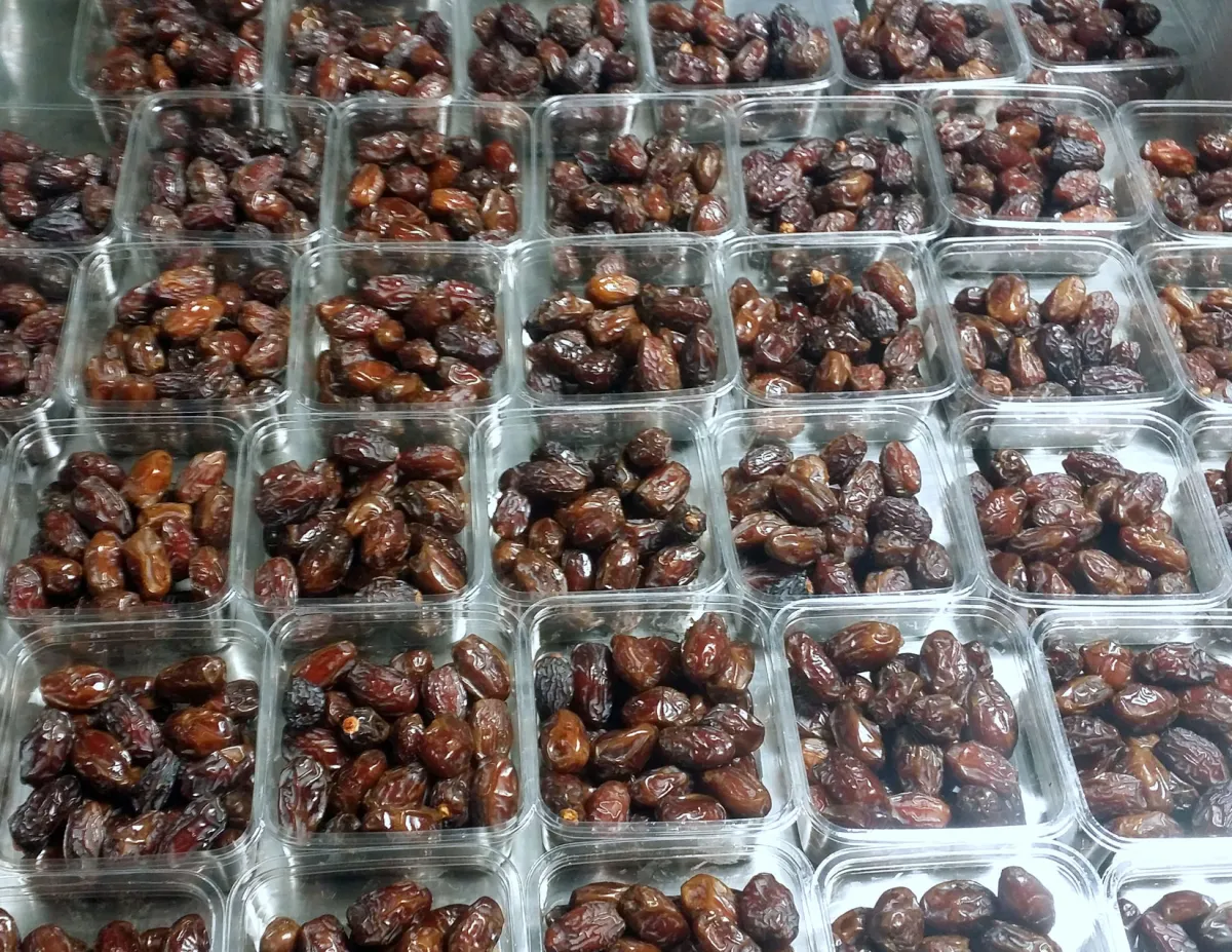 Medjool Dates Organic 1Lb Clam Shell Case/18 — official product photograph